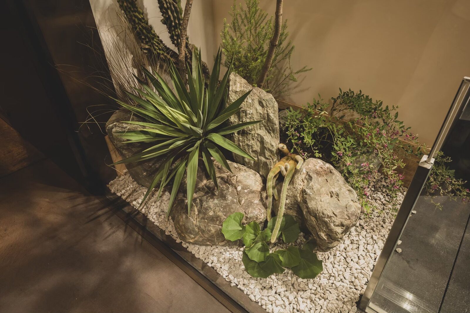 新風館の石組みと植栽のディテール